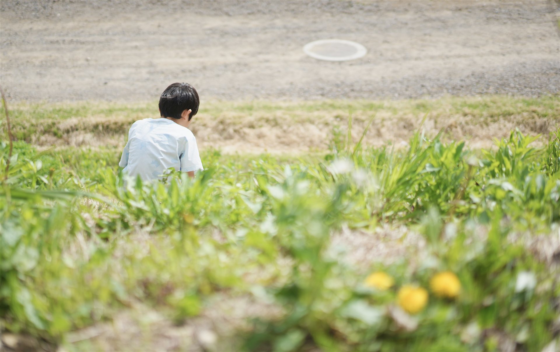 草原でたたずむ子ども